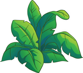 illustration shrub for cartoon isolated on white background