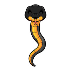 Fototapeta premium Cute northern ringneck snake cartoon