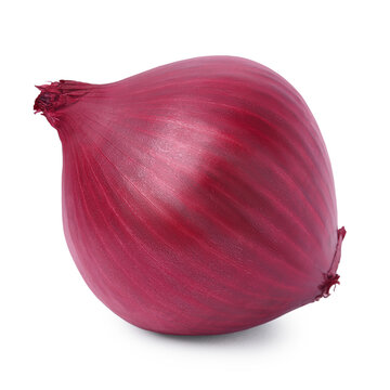 One fresh red onion on white background