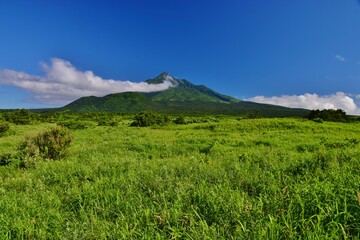 利尻島の夏景色