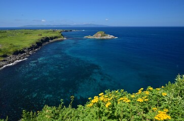 利尻島の夏景色