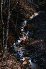 stream in the forest Mourão Portugal