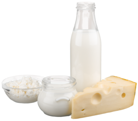Dairy Products- Cheeses and Milk - Isolated