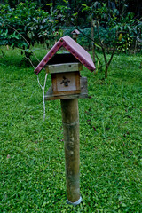 traditional wooden honey bee stup