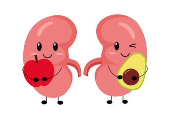 Healthy kidney concept vector illustration. Cute kidneys cartoon holding apple and avocado in flat design on white background.