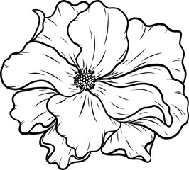 Fototapeta premium Dortmund rose png.Beautiful flower on transparent background.