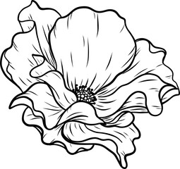 Fototapeta premium Dortmund rose png.Beautiful flower on transparent background.