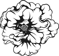 Dortmund rose png.Beautiful flower on transparent background.