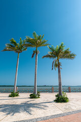Malecon Tajamar in Cancun, Quintana Roo, Mexico
