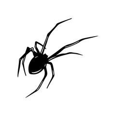 vector illustration of black spider silhouette