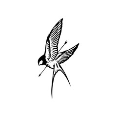 vector illustration of a swallow with an arrow