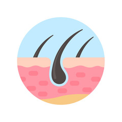 hair follicles on human skin hair disorder hair care