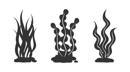 Seaweeds and underwater plants silhouette vector collection. Aquarium, ocean and marine algae water plants. Laminaria kelp and other seafood set