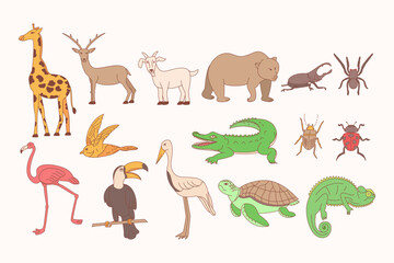 Animal Illustration Pack