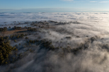 foggy morning in the valley