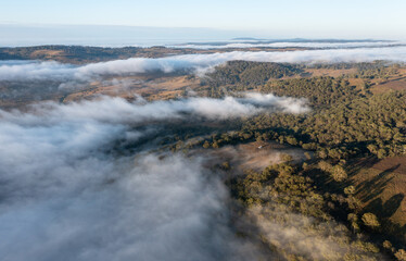 foggy morning in the valley