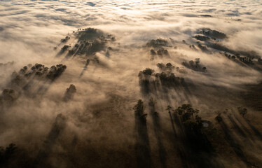 foggy morning in the valley