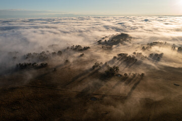 foggy morning in the valley