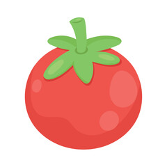 fresh tomato vegetable
