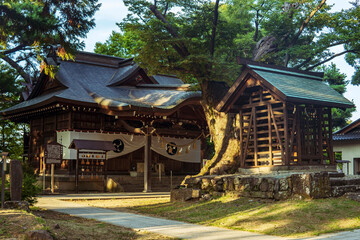 川中島古戦場史跡公園にある八幡社の新旧本殿とケヤキの大木／日本長野県2022.09.14撮影