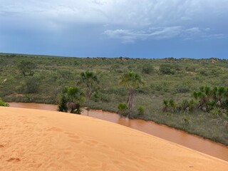 Fototapeta na wymiar Dunes in Jalapão State Park ( Parque Estadual do Jalapão ) - Tocantins, Brazil