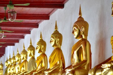 The image of the Golden Buddha images are in the meditation posture, they are very beautiful.