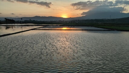 sunset over the rice fields and golden skies