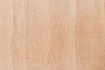 Light rough textured cut surface of an African tree. Wood background or blank for design