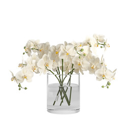 white orchid in a vase on transparent background PNG file	