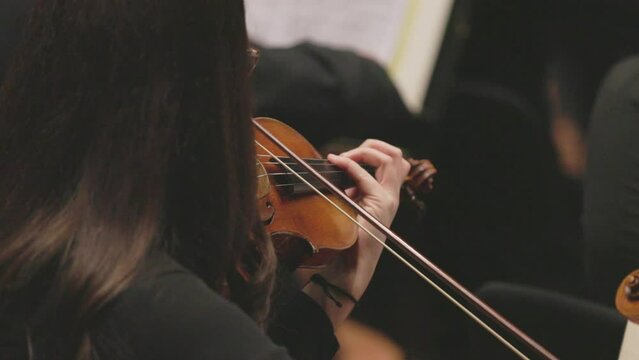 A musician playing a violin or viola dressed in concert black during a classical symphony orchestra performance