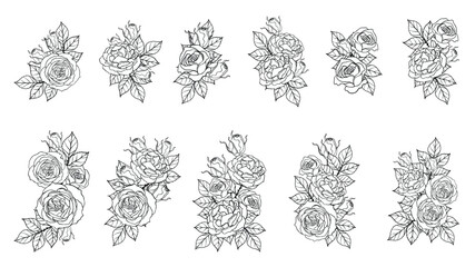 Set of rose ornament vector by hand drawing.Beautiful flower on white background.Sunset memory rose vector art highly detailed in line art style.Flower tattoo for paint or pattern.