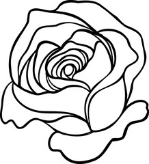 Sunset memory rose png.Beautiful flower on transparent background.