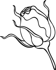 Sunset memory rose png.Beautiful flower on transparent background.