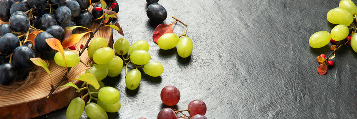 Grapes on a dark background.