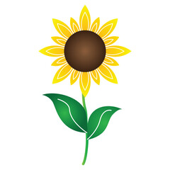 sunflower logo icon vector illustration