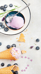 Organic blueberry ice-cream on neutral background.