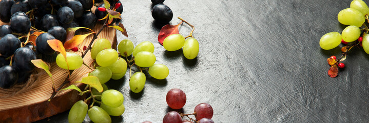 Grapes on a dark background.