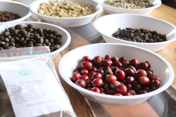 North Sumatra organic coffee harvest. 
