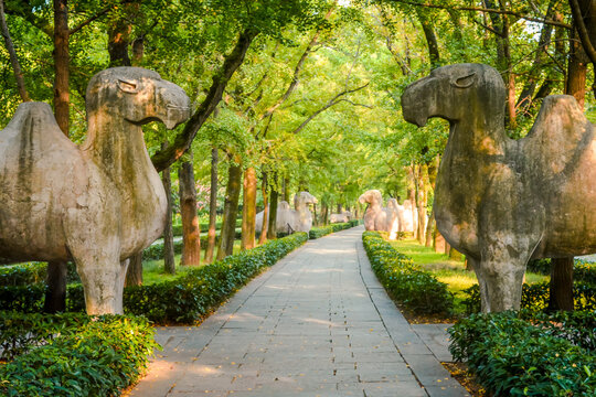 JIANGSU,CHINA 20 august 2020 -  Elephant Road of the Ming Xiaoling Mausoleum, a tomb of the Hongwu Emperor, the founder of the Ming dynasty, UNESCO World Heritage site, located in Nanjing