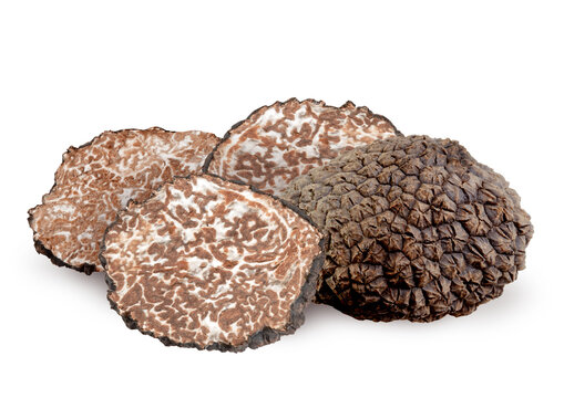 Black summer truffle or Cut fresh black truffle isolated. PNG transparency