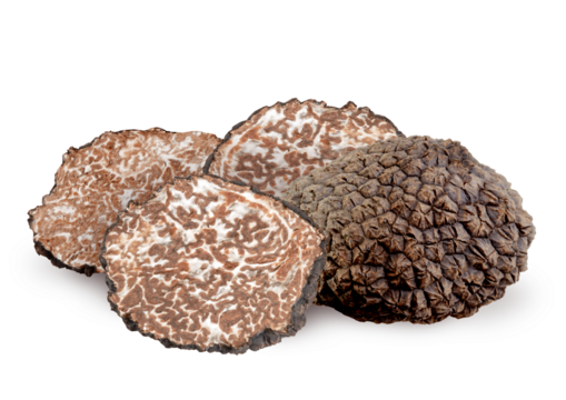Black summer truffle or Cut fresh black truffle isolated. PNG transparency