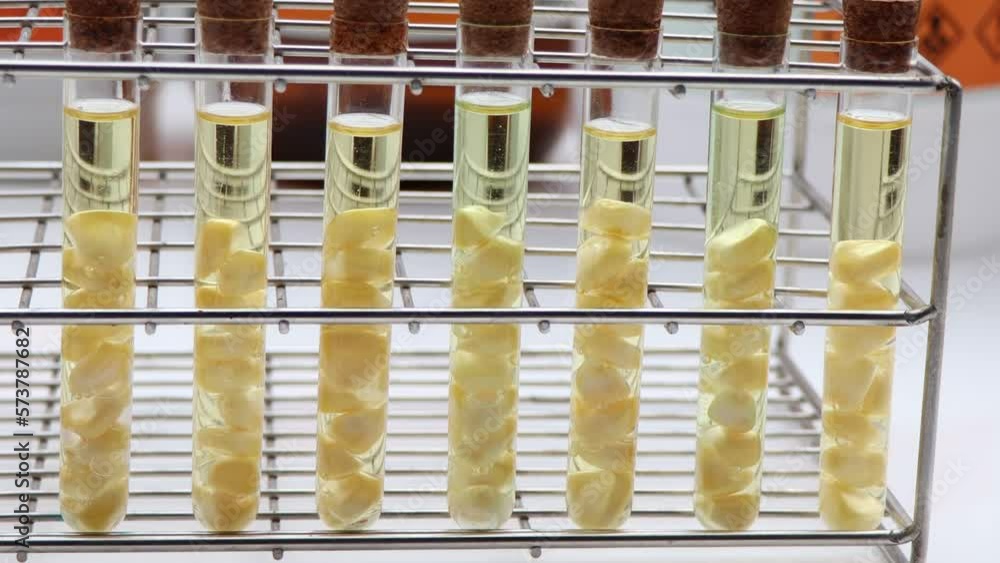 Poster Yellow biodiesel oil extracted from natural raw material, laboratory experiment