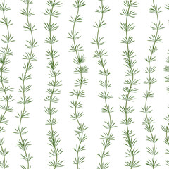 Hornwort is a green algae. The underwater world of the ocean. Aquarium. a marine plant . Vector illustration isolated on a white background.
