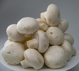 Fresh champignon mushrooms, closeup.
Mushrooms are like vegetable protein. The concept of vegetarian and vegan food and diet. Veganism and vegetarianism. Cooking at home or in a restaurant.