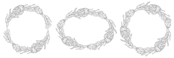 Hand drawn floral frames with flowers King Protea, branch and leaves. Elegant logo template.