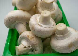 Mushrooms in a green container.
White mushrooms. Close up. Mushrooms are like vegetable protein. The concept of vegetarian and vegan food and diet. Veganism and vegetarianism. Cooking at home.