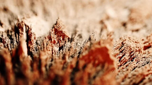 macro closeup view metallic particle grains. moved around by magnet in red light