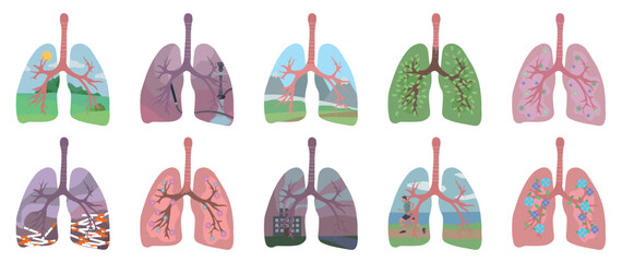 Collage of different human lungs on white background