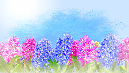 紫色とピンク色と赤色のヒヤシンスの春の風景イラスト