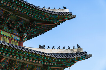 Fototapeta na wymiar The Roof of Gyeongbok Palace, a traditional Palace in Seoul